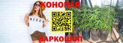 Альфа ПВП Комсомольск-на-Амуре