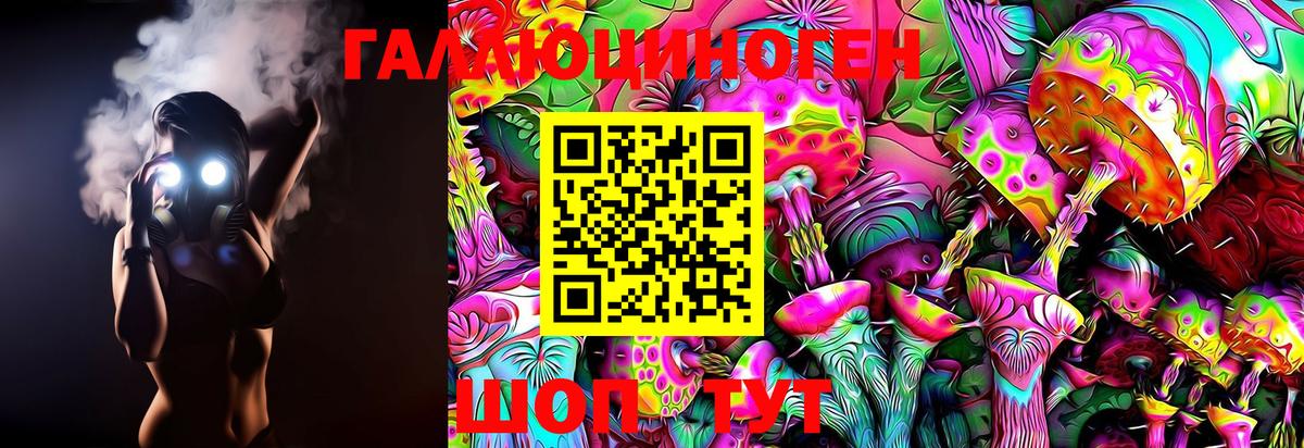 Кандалакша  Галлюциногенные грибы Psilocybine cubensis  Вход с VPN 